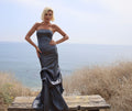 2: Tiara gown pewter